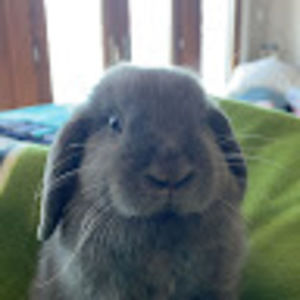 Meet your Posher, Juli